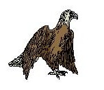 eagle.jpg